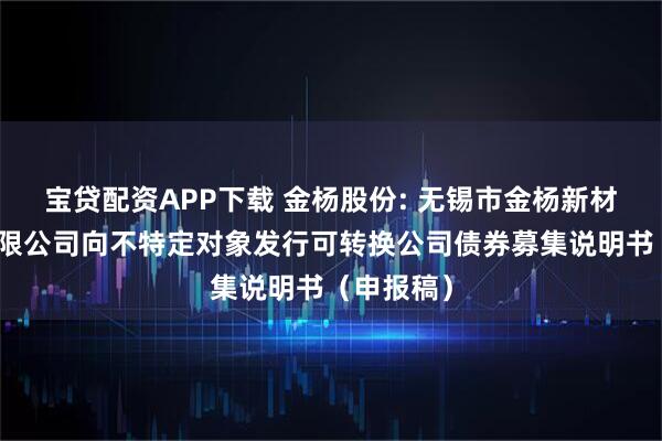 宝贷配资APP下载 金杨股份: 无锡市金杨新材料股份有限公司向不特定对象发行可转换公司债券募集说明书（申报稿）