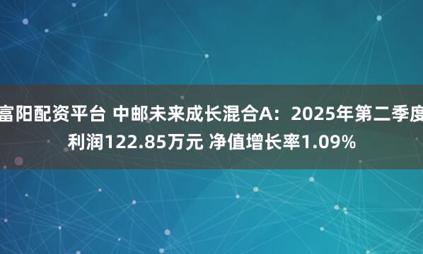 富阳配资平台 中邮未来成长混合A：2025年第二季度利润122.85万元 净值增长率1.09%